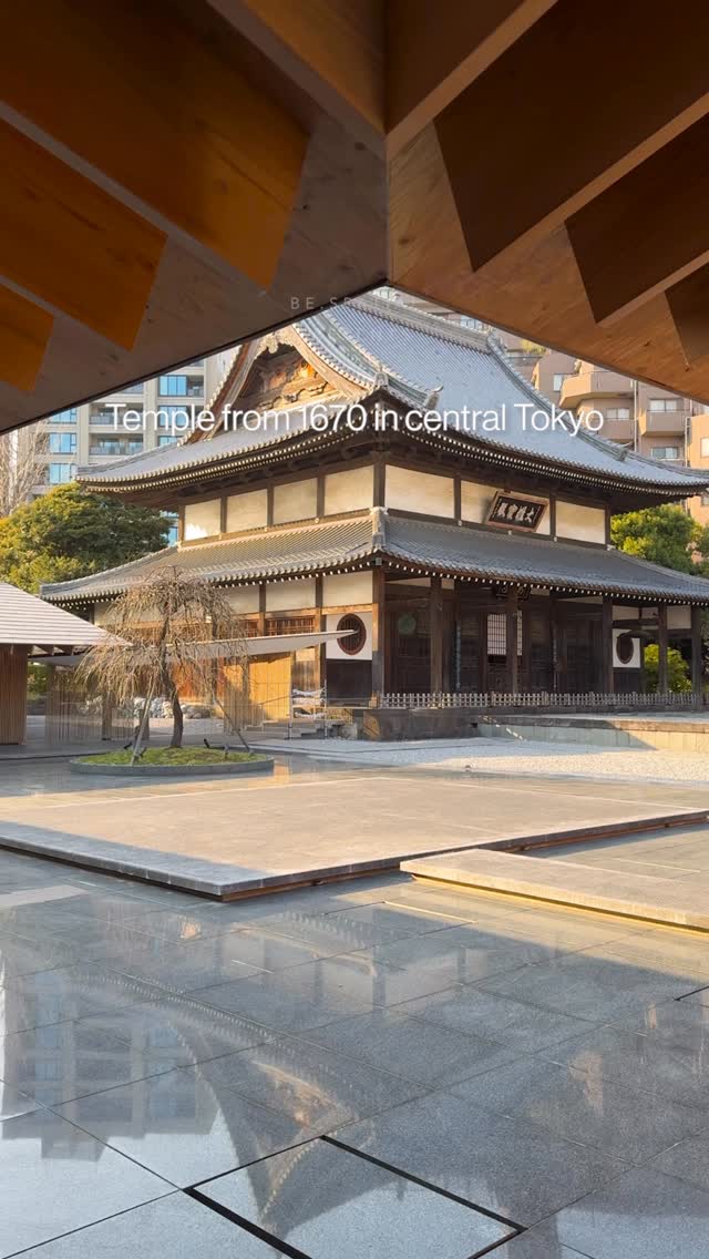 비스페이셜 | Architecture • Design • Place • Art, Zōjō-ji Temple