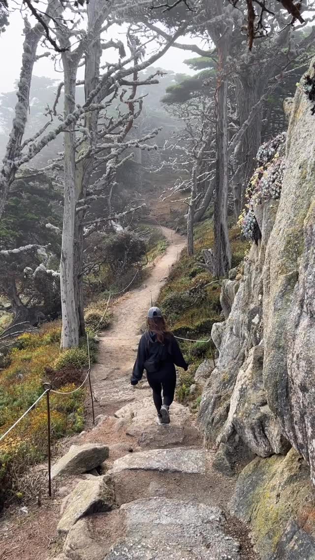 Discover California | Nature & Travel, Point Lobos State Natural Reserve