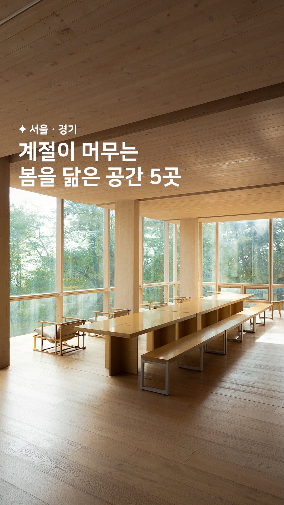 해빗 ✦ 카페 • 공간, The Forest Choso Chaekbang
