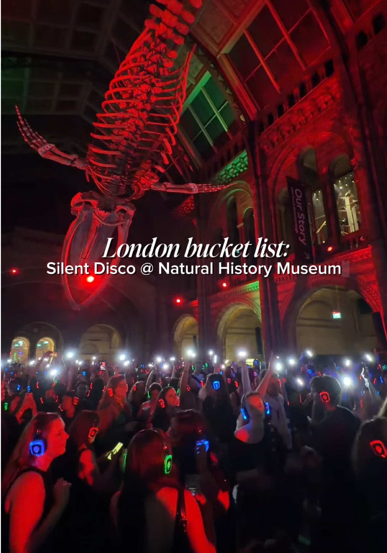 Rachel Rae | London / Travel, Natural History Museum