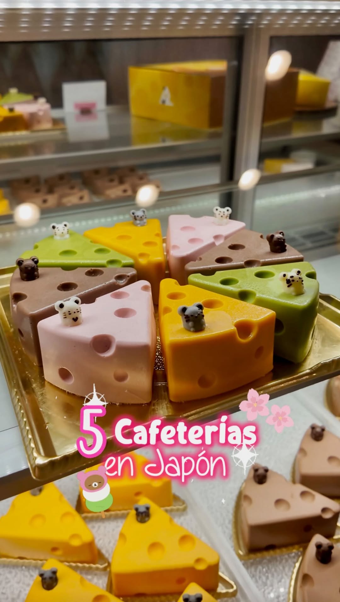 ♡ Sara Conde ♡, ANAKUMA CAFE Harajuku