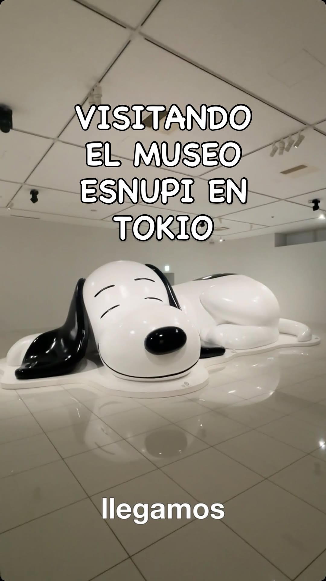 Carolina Burgos (3am edition), Snoopy Museum Tokyo