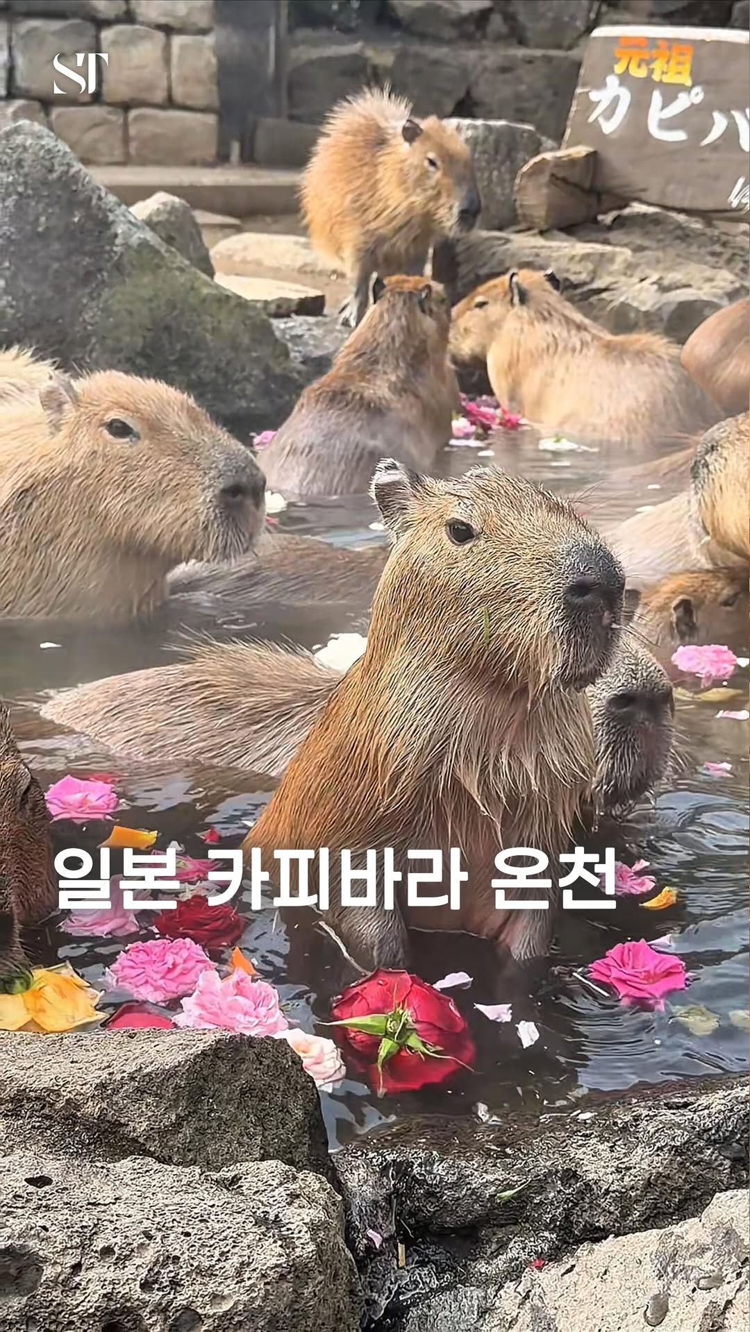 포토그래퍼의 【공간 탐닉】, Tokyo Station