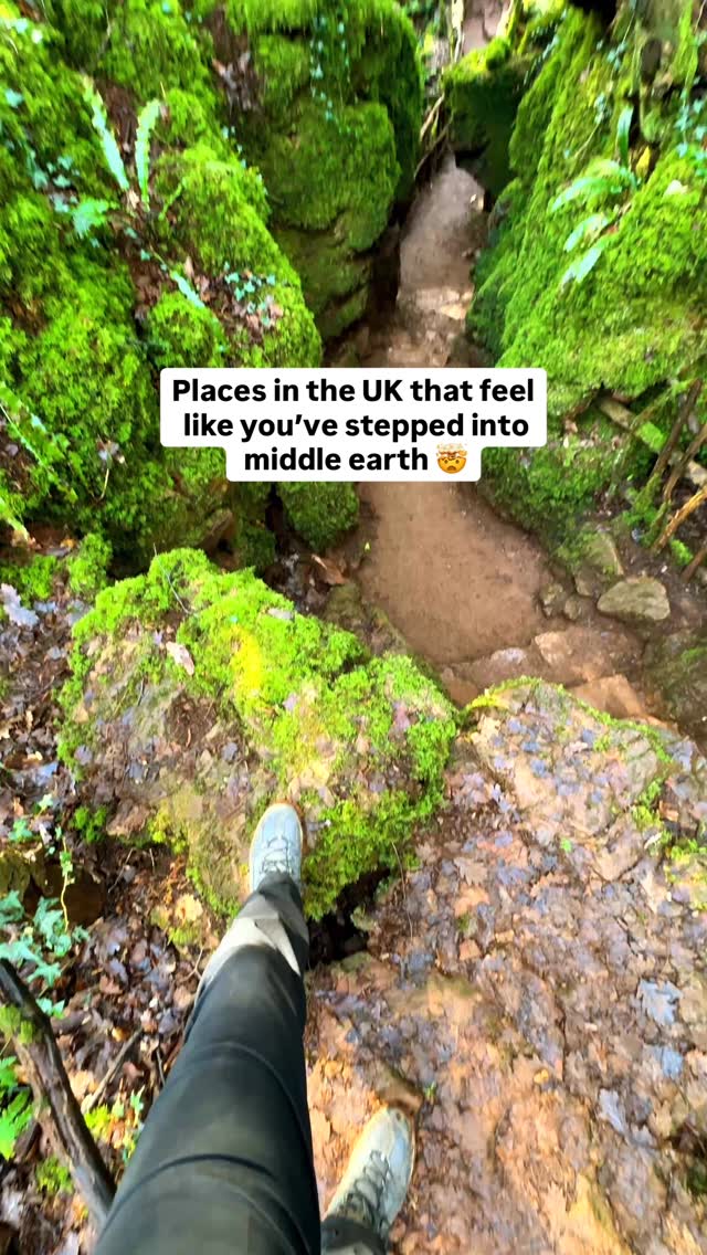 Chris & Kirsty | Beginner Friendly Adventure Travel, Puzzlewood