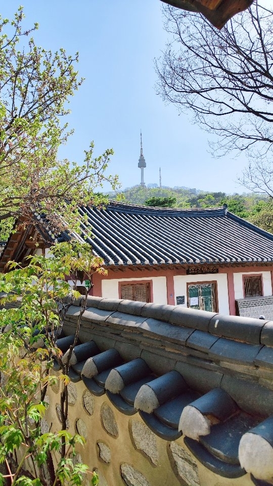 제시  𝒥𝓮𝓈𝓈𝒾, N Seoul Tower