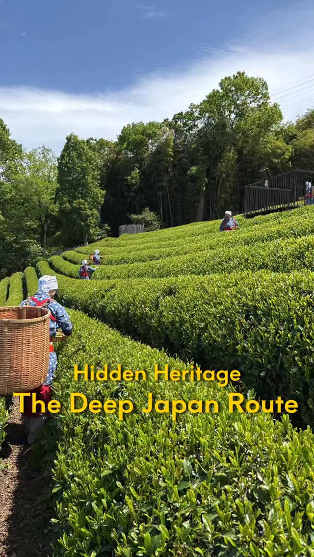 Izu Experiences Japan | 2h from Tokyo, Tokyo Station