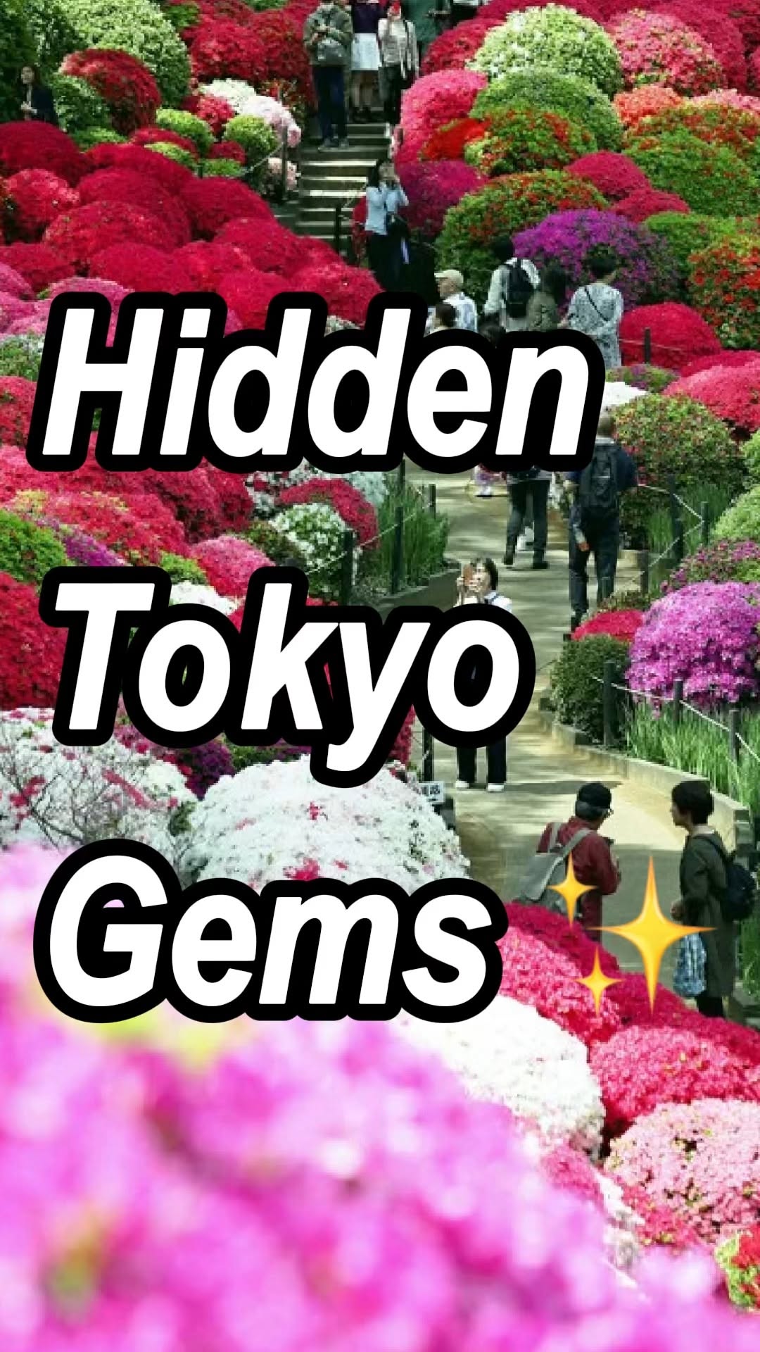 Tokyo with Samurai | Gakuto - Tokyo local guide🇯🇵✨️, Yanaka Ginza
