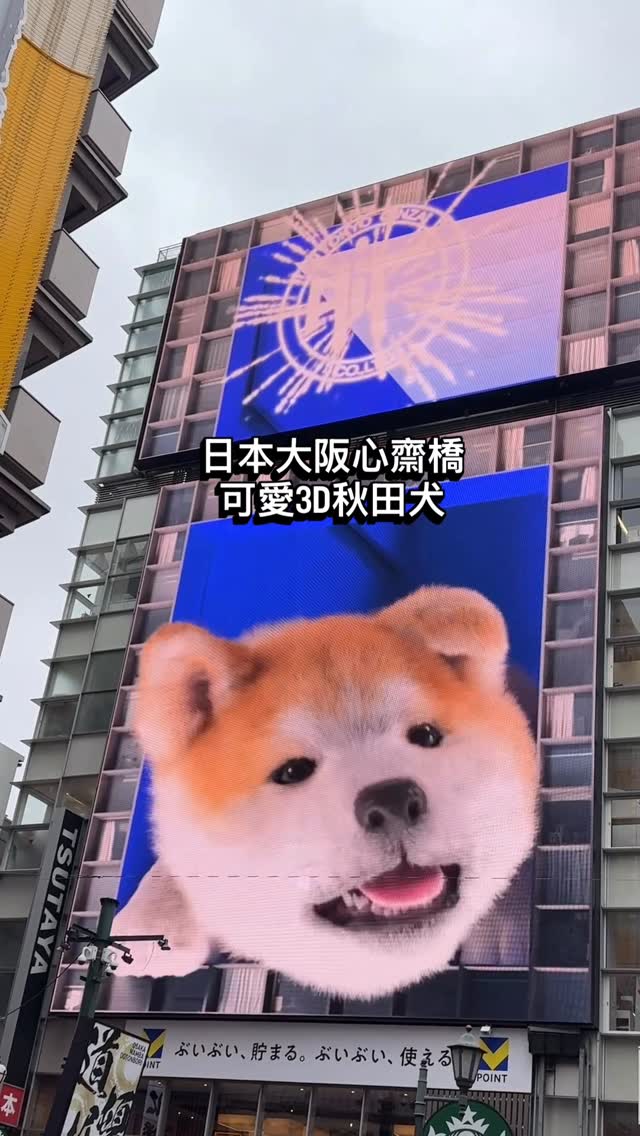 Angela Yeh, Dotonbori