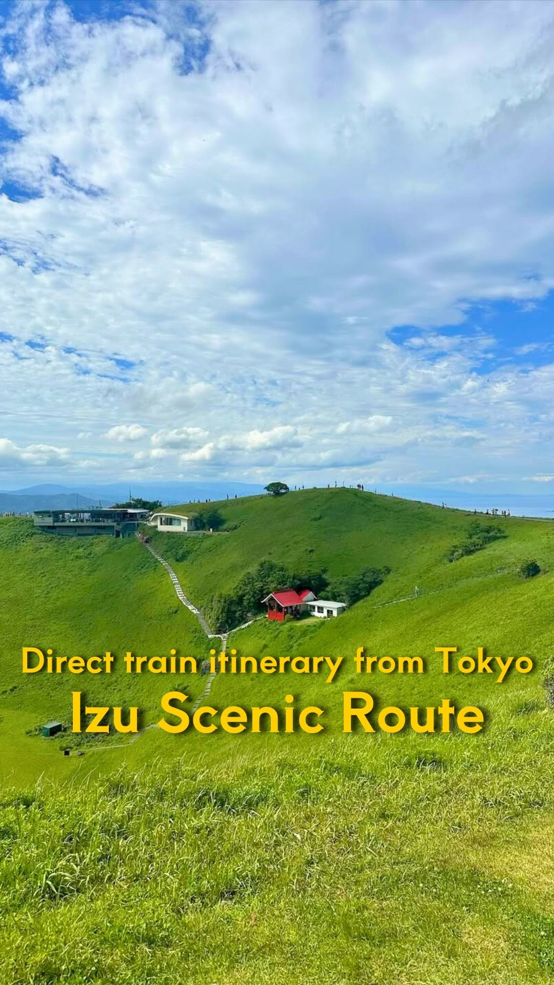 Izu Experiences Japan | 2h from Tokyo, Tokyo Station