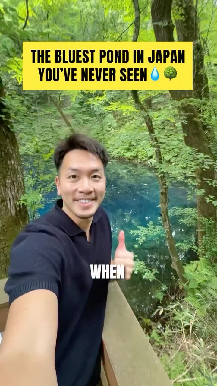 Travel Japan Together | Local Tours & Experiences, Mt. Shirakami