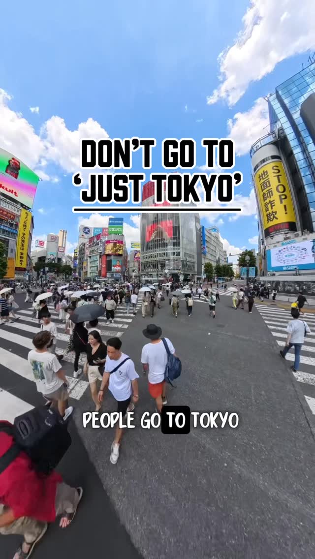Travel & Lifestyle Creator + Tips for The-SavvyTourist.com, Meigetsu-in