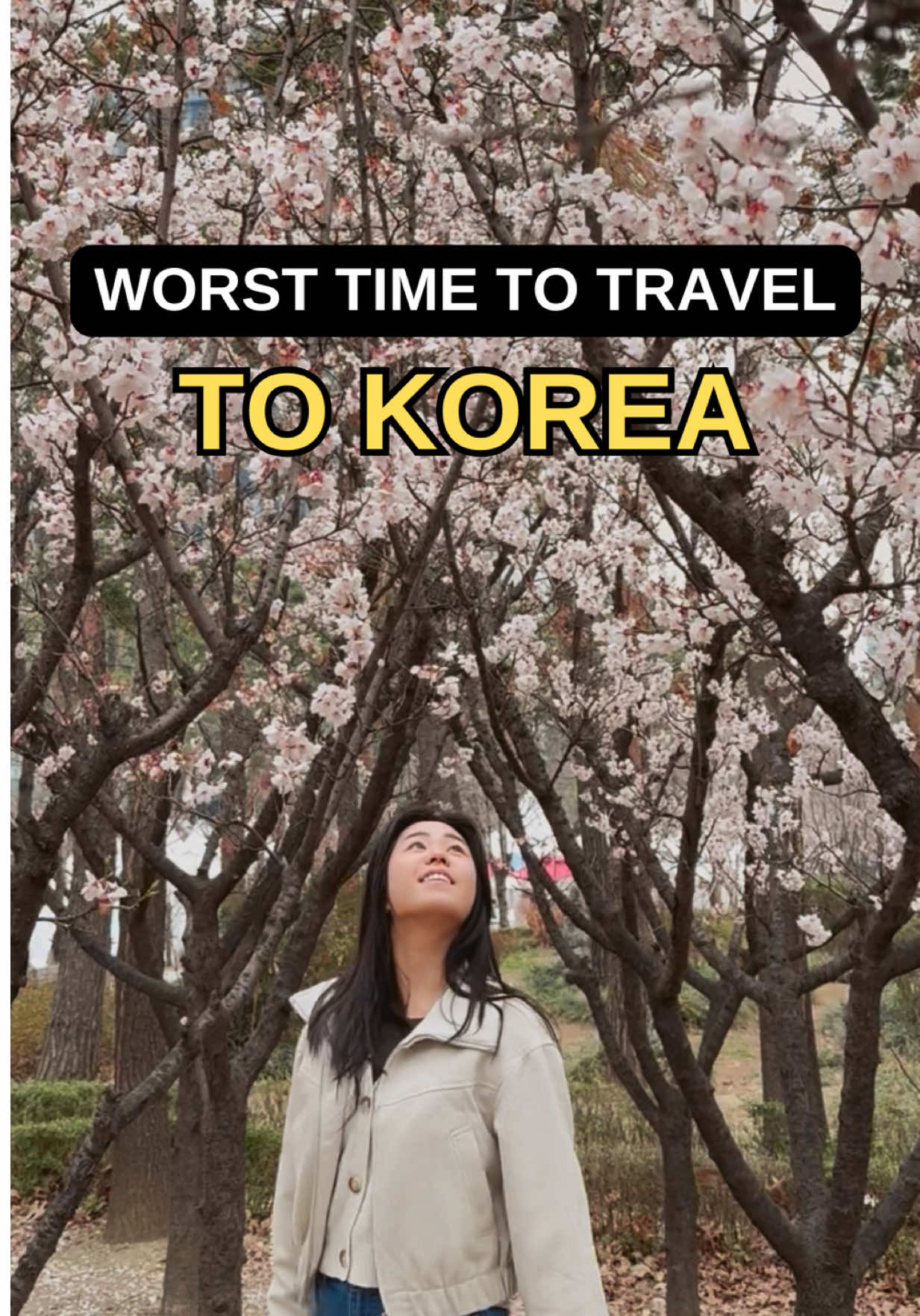 MAY 🌷 Travel Tips 🇰🇷🇯🇵, Gyeongbokgung Palace