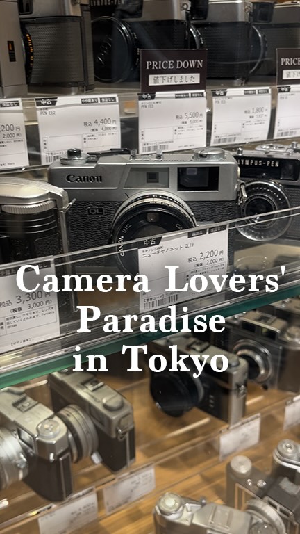 Misaki | Revisit_Japan_travel, Shinjuku Station