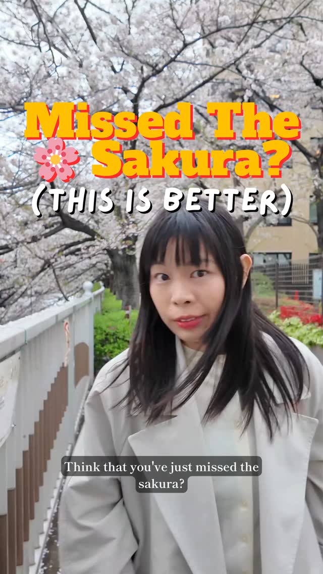 Salie's Itinerary | Japan & East Asia Travel, Odaiba