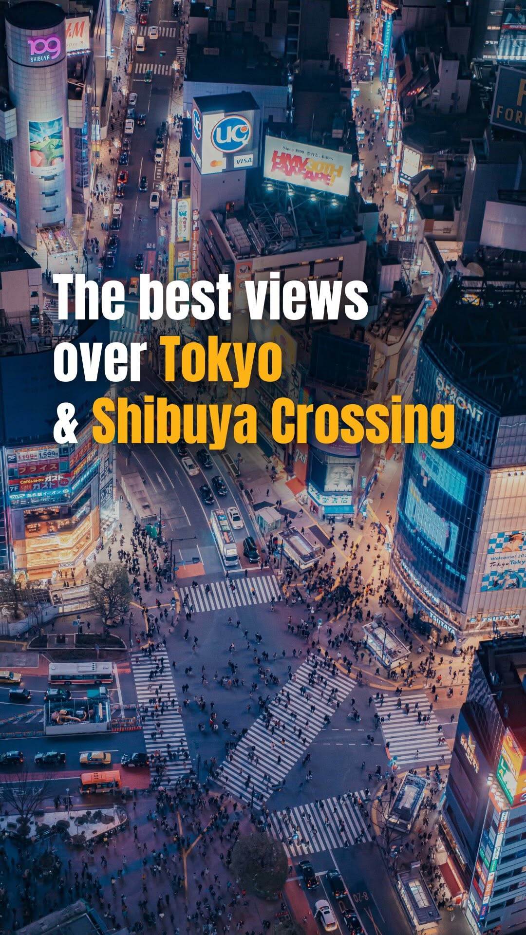 Katerina • Travel Planner • Tailor-Made Trips • Japan • China, Shibuya Scramble Crossing