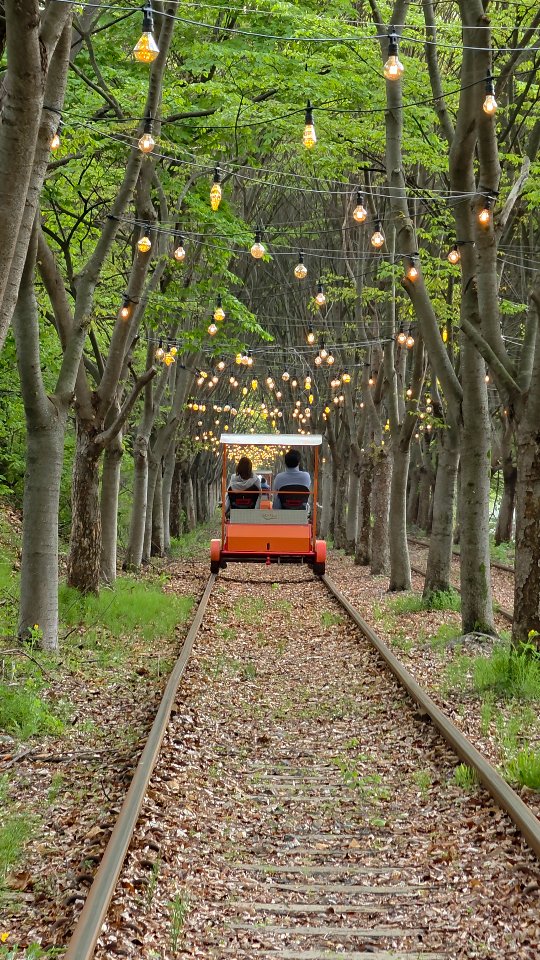 erin 🫧 sydney creator, Nami Island