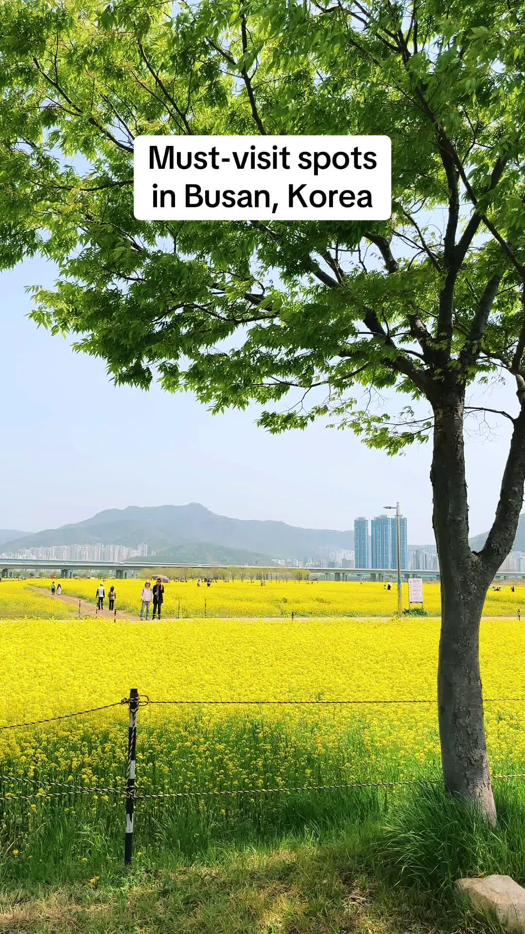 Sia, Gamcheon Culture Village, Busan