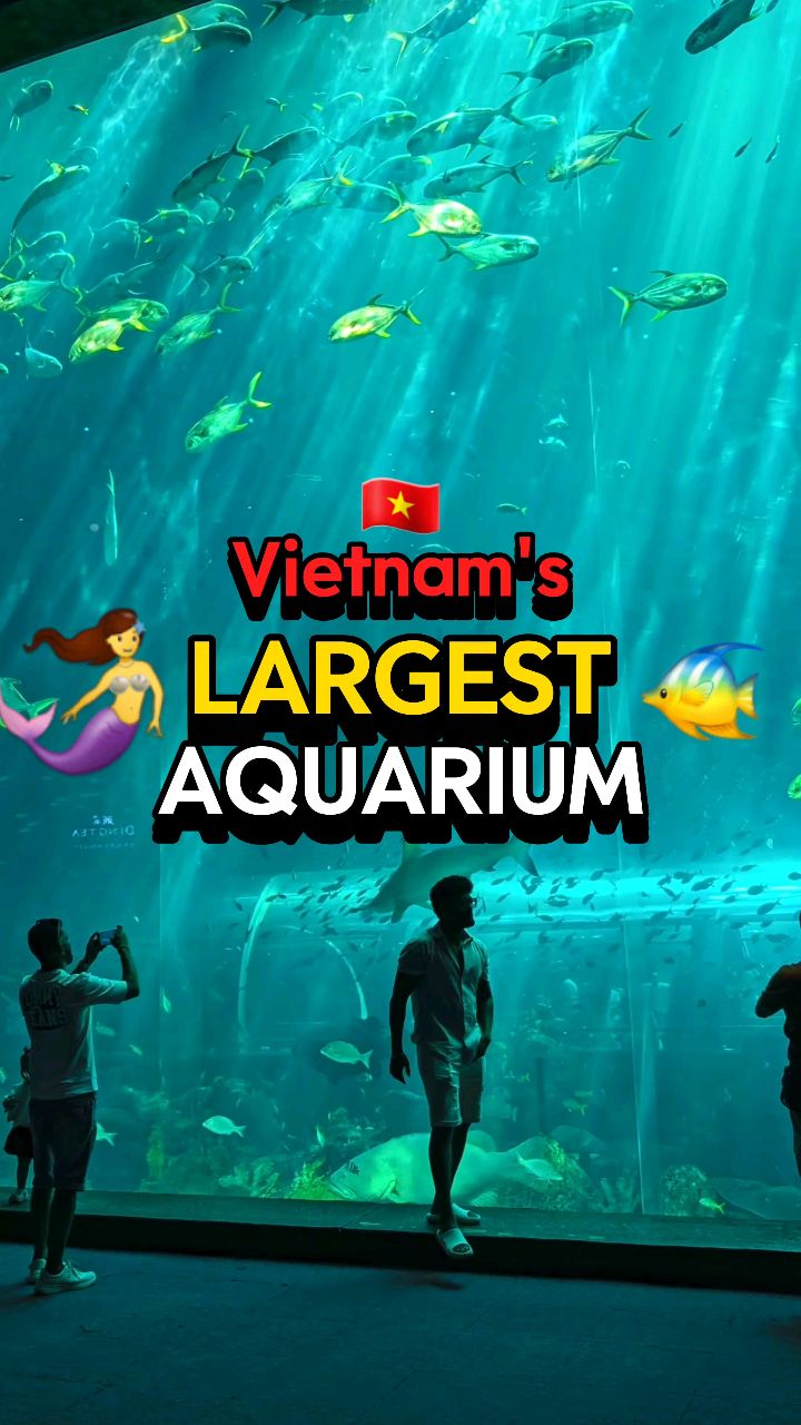 Liam & Sarah | Life in Vietnam 🇻🇳, VinWonders Phú Quốc