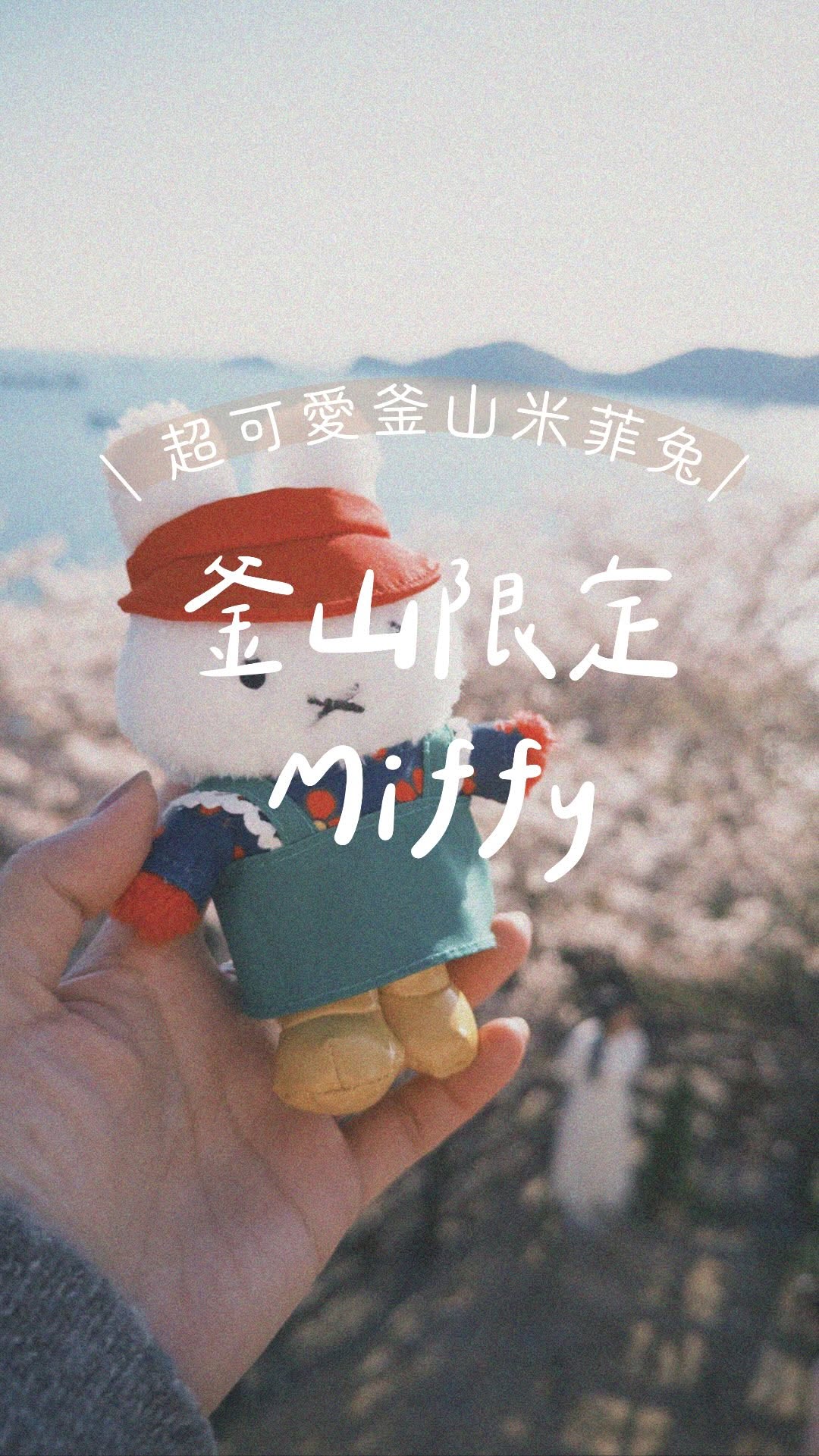 Roka/珈常日々雜話曆, Jagalchi Market