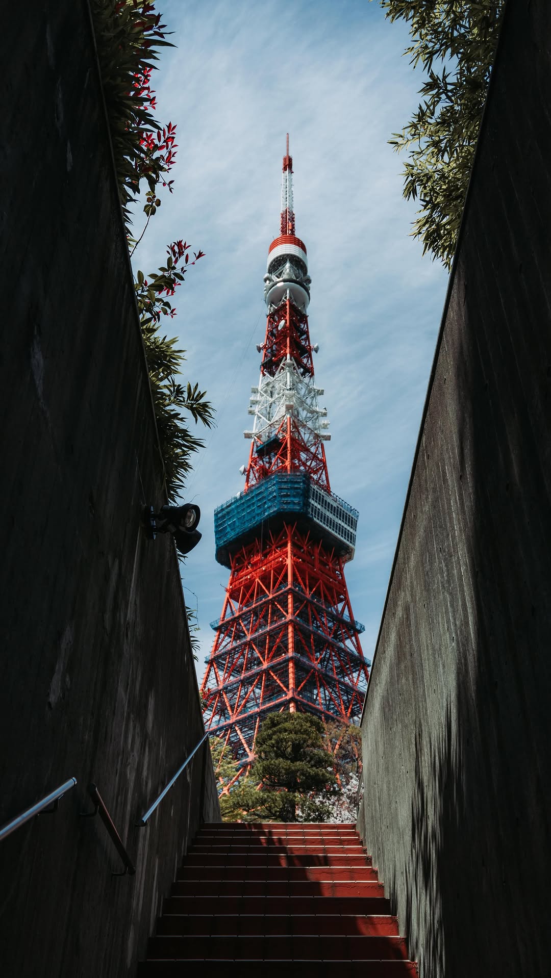 Manuel Marín, Tokyo Metropolitan Government Building North Observatory