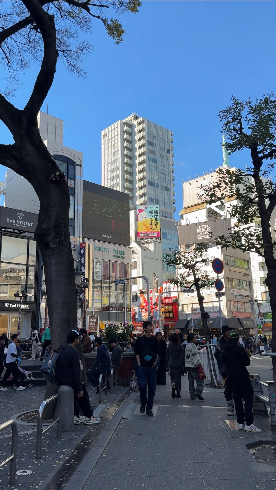 Ella Alonzo, Dotonbori