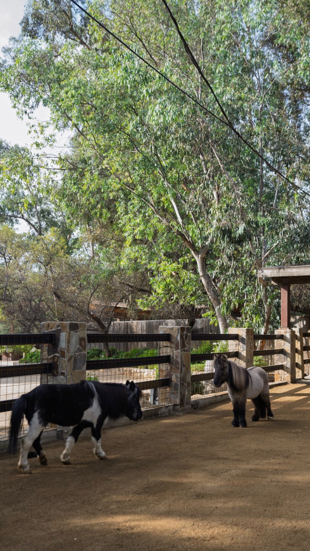 Calamigos Ranch Resort & Spa, Calamigos Ranch Events