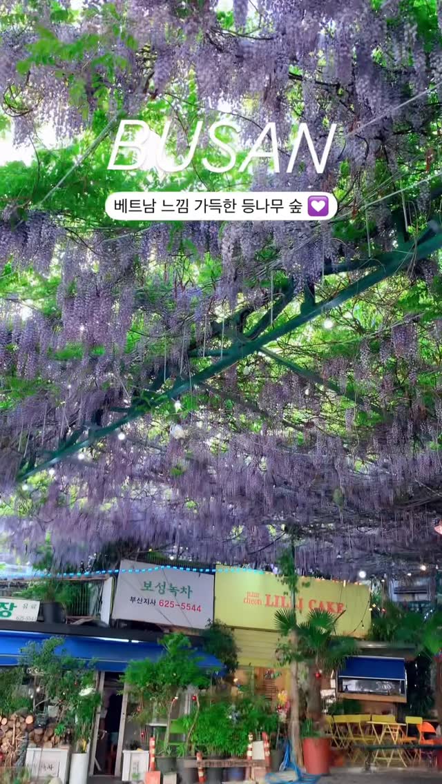 이찬호, 남천리팥빙수