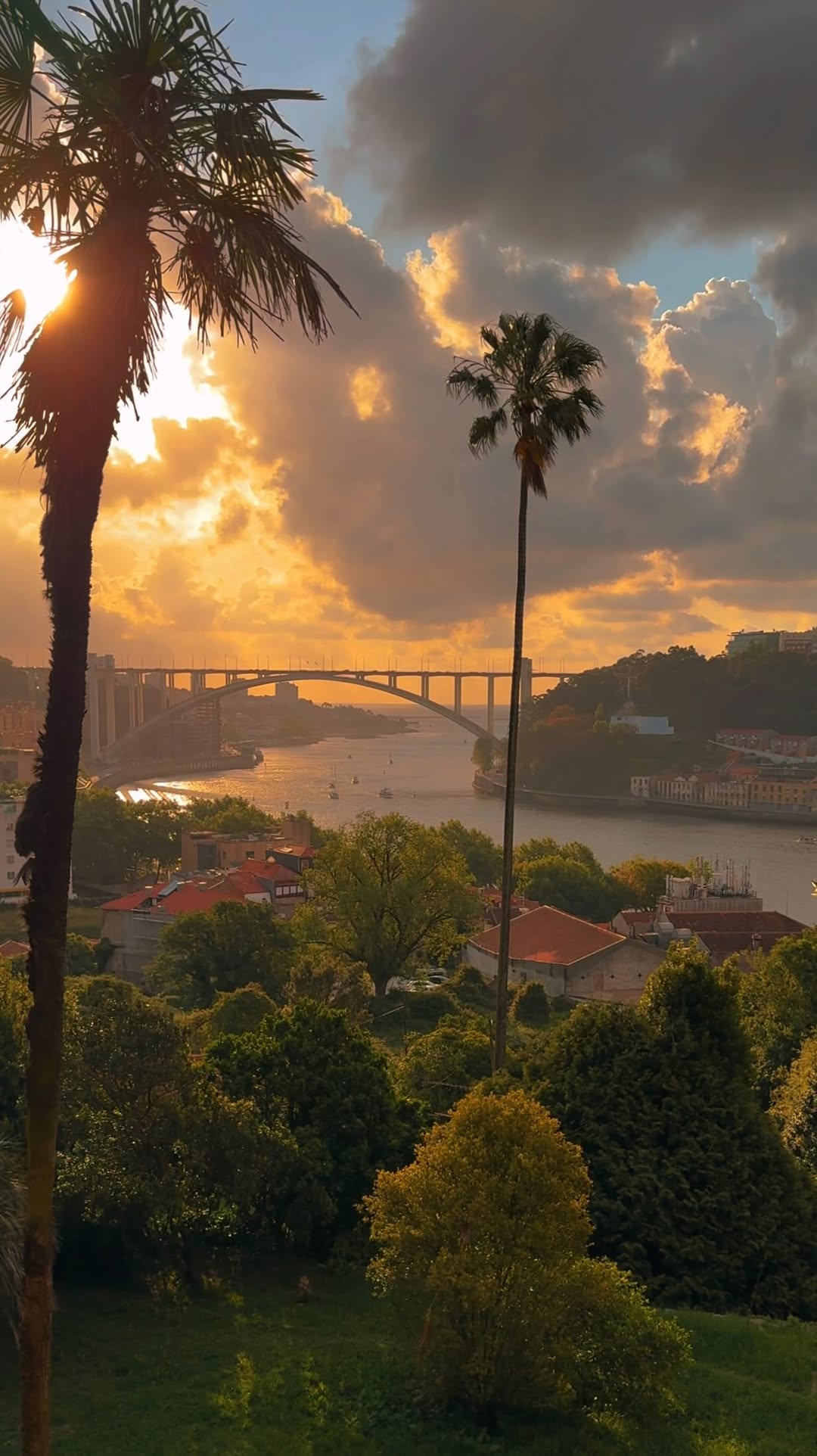 Adi • aesthetic travel moments, Luís I Bridge