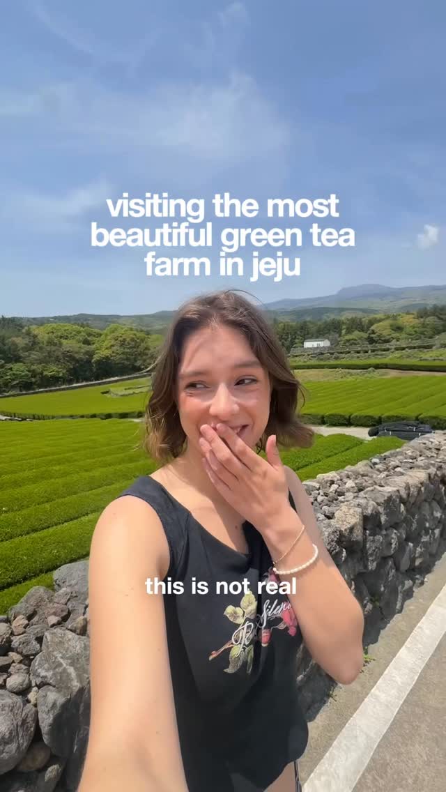 molly hawks ⋆⭒˚.⋆, Osulloc Tea Museum