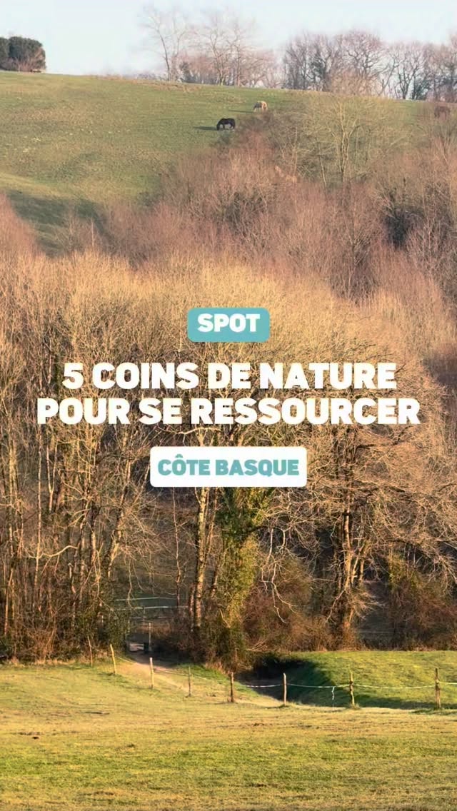 La vie basque par Marine Fougère 🐴 Bonnes adresses Pays Basque, Forêt d’Ahetze