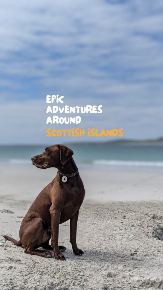 Eddie | Dog Friendly Scottish Adventures, Outer Hebrides