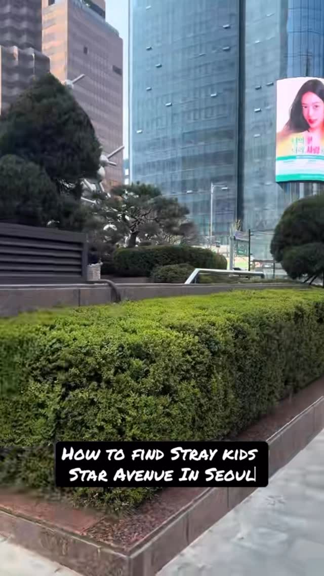 Наталья Алексеева| Дизайнер одежды | Москва, LOTTE HOTEL SEOUL