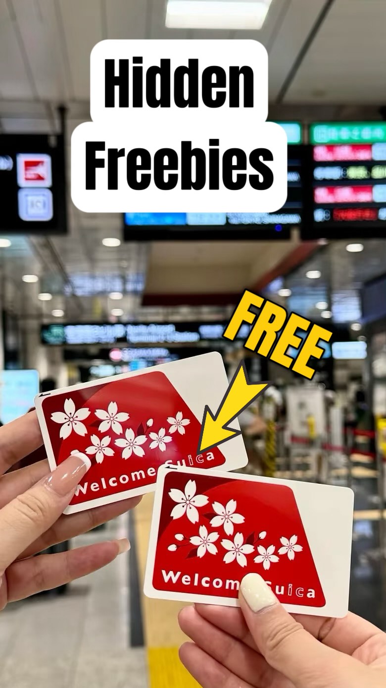Only.injapan, Narita International Airport