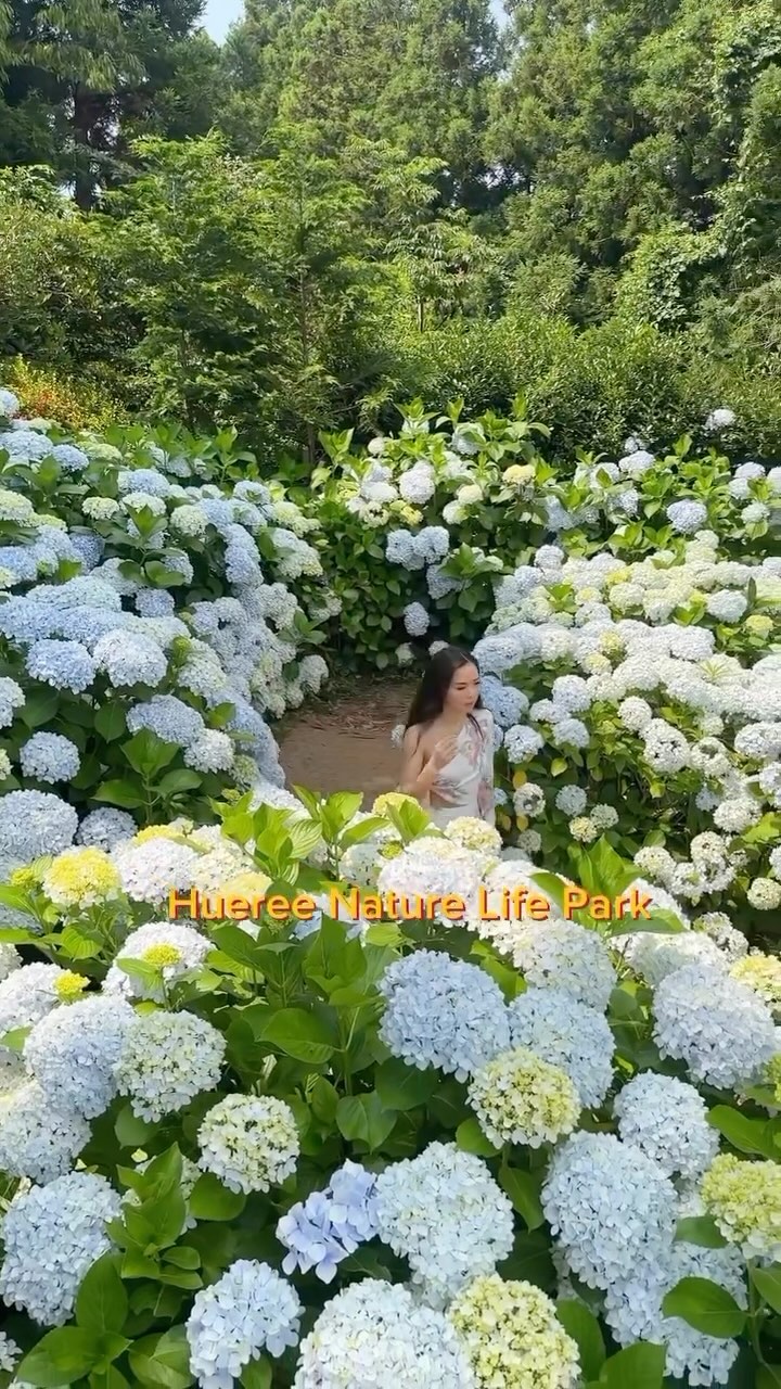 Korea Undiscovered, Seongsan Ilchulbong