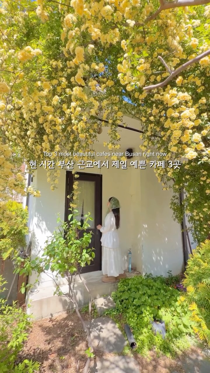 리네 | 여행•카페•공간, 송학커피
