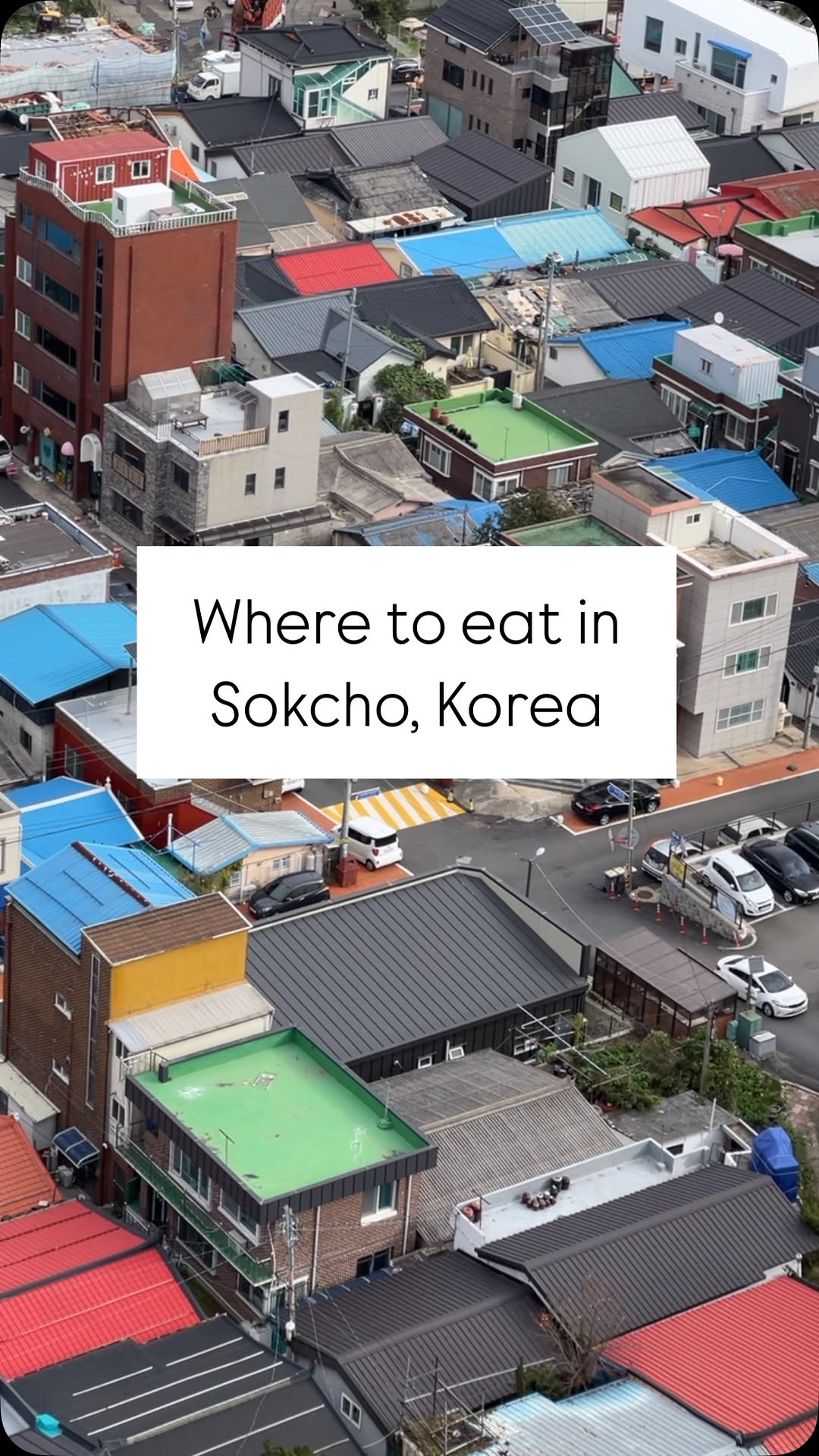 📸Christy | Content Creator, Sokcho Tourist & Fishery Market