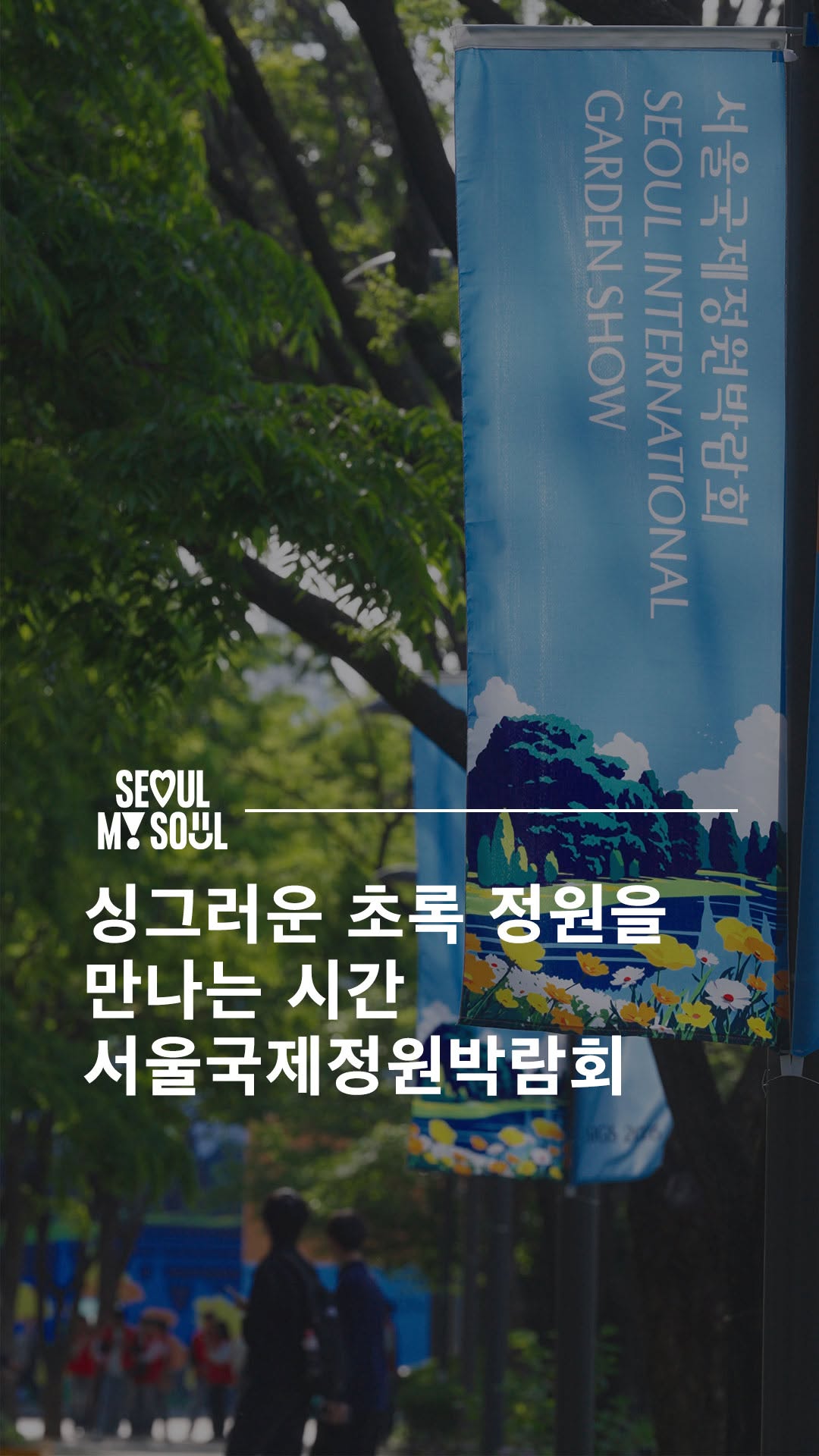 서울시 Seoul City, Yeouido Hangang Park