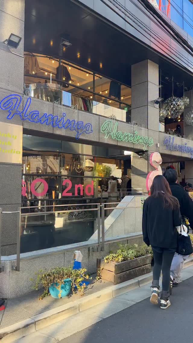 ʚ mkay ɞ, Flamingo