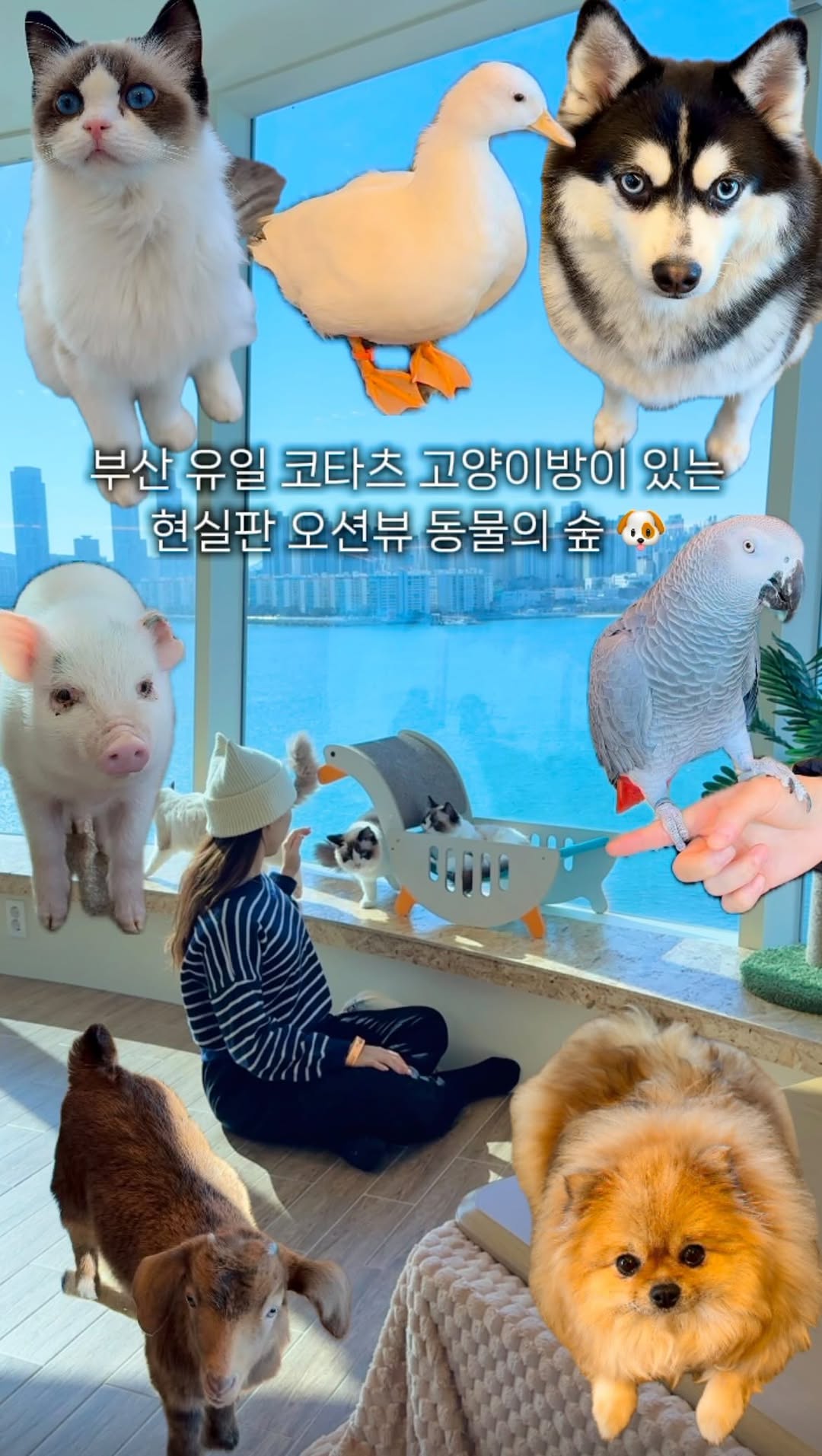 선화ㅣ부산핫플•카페•여행•데이트, Gwangan Bridge