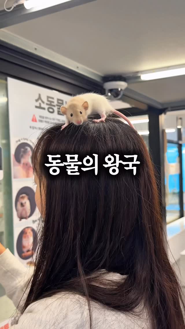 윤이즈 | 부산맛집•부산카페•부산여행, Gwangan Bridge