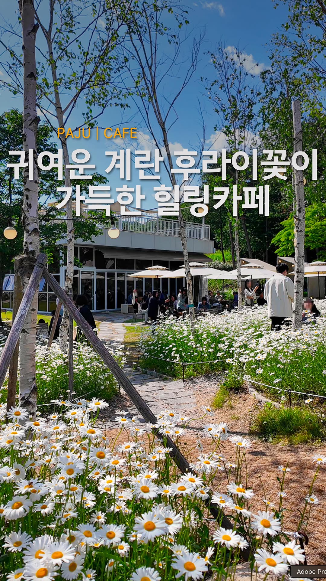 방운석 aka 방탱이 - 카페, 팝업, 맛집, 숙소, 전시, 여행, Majang Reservoir