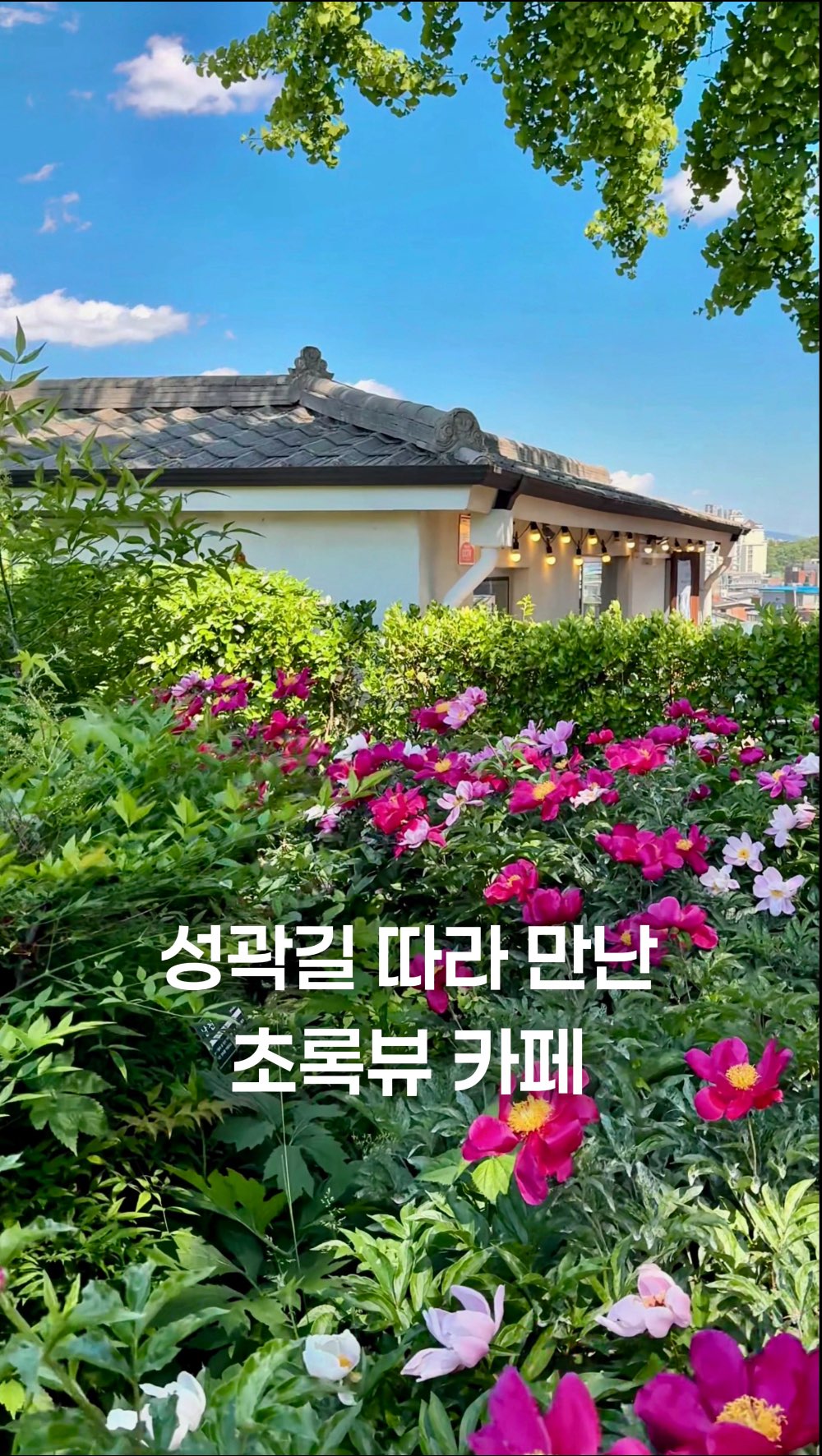 미클 🥑 서울 카페 · 맛집 · 디저트, Seoul City Wall Trail