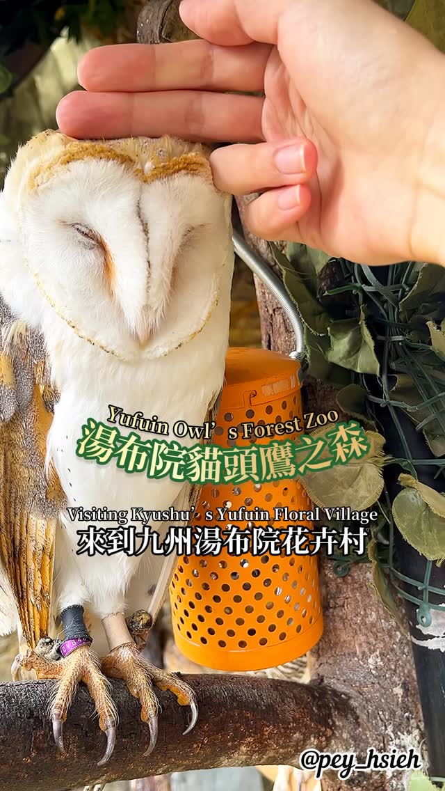 我Pey, Yufuin Floral Village