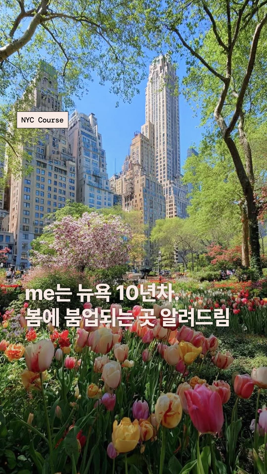앳홈트립 : 뉴욕·LA미서부·칸쿤 여행, Brooklyn Bridge