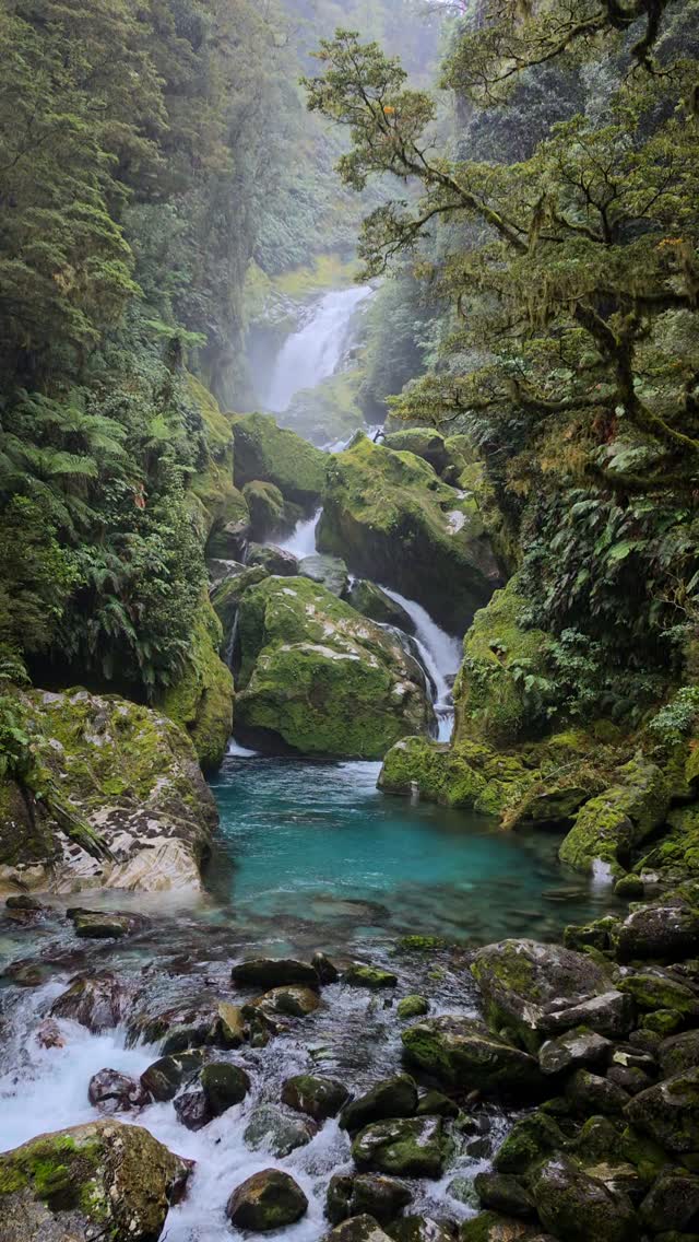 Kristina | New Zealand Travel, Hiking & Outdoors, Milford Sound / Piopiotahi