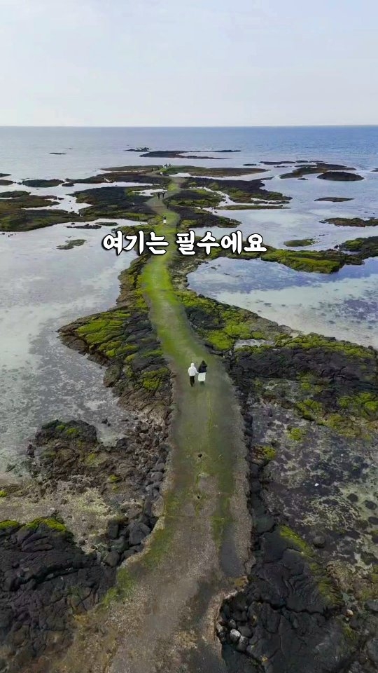 ㅊr블리ও ᴶᴱᴶᵁ 여행, 청굴물