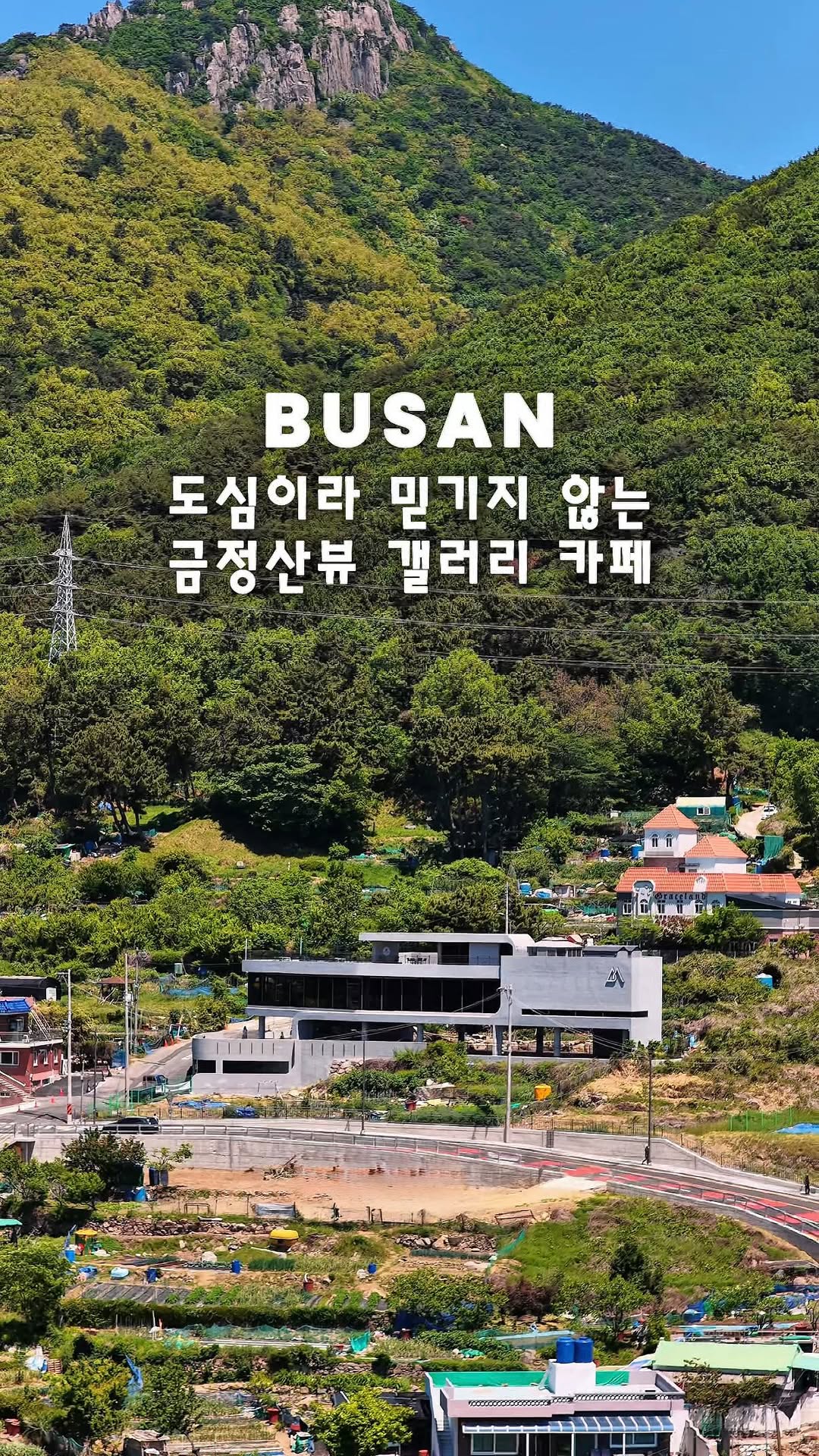 망개호박고구마 🍠 TOUR  _                        시선의 기록을 공유, 금정산성 북문