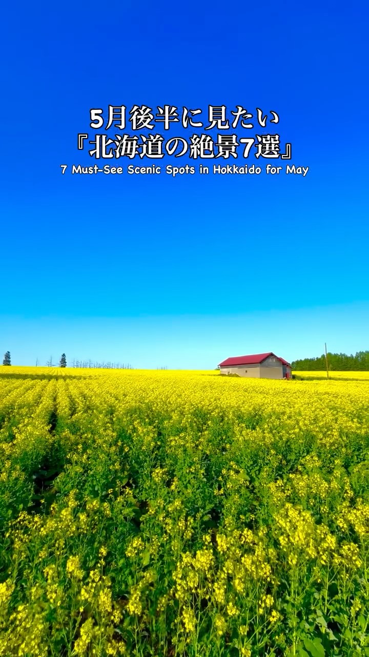 gan.iwaiwa/北海道旅行/札幌グルメ, Takino Suzuran Hillside Park