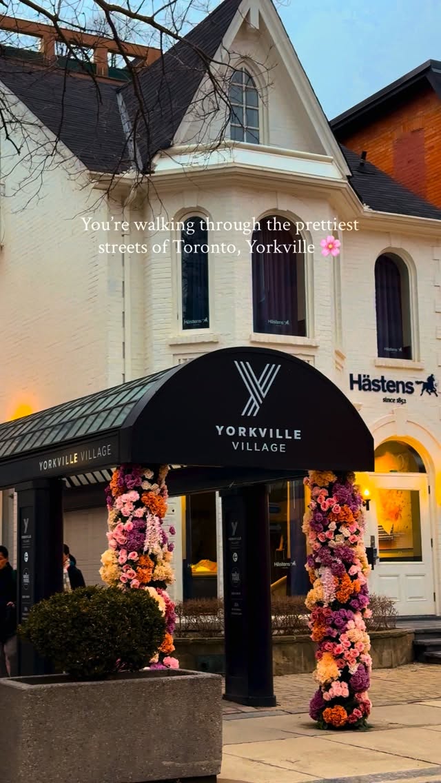 Shiwani, Yorkville