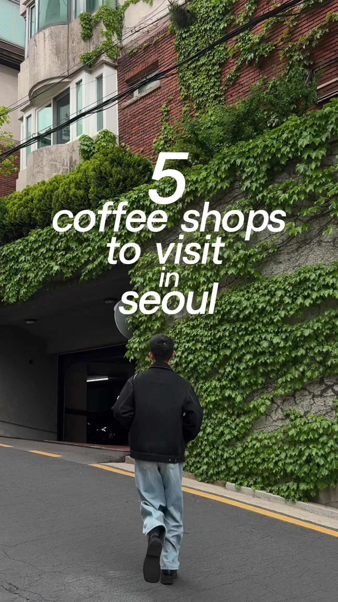 jeff te, KOTTON.SEOUL